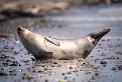 Impressionen vom Nordseeurlaub