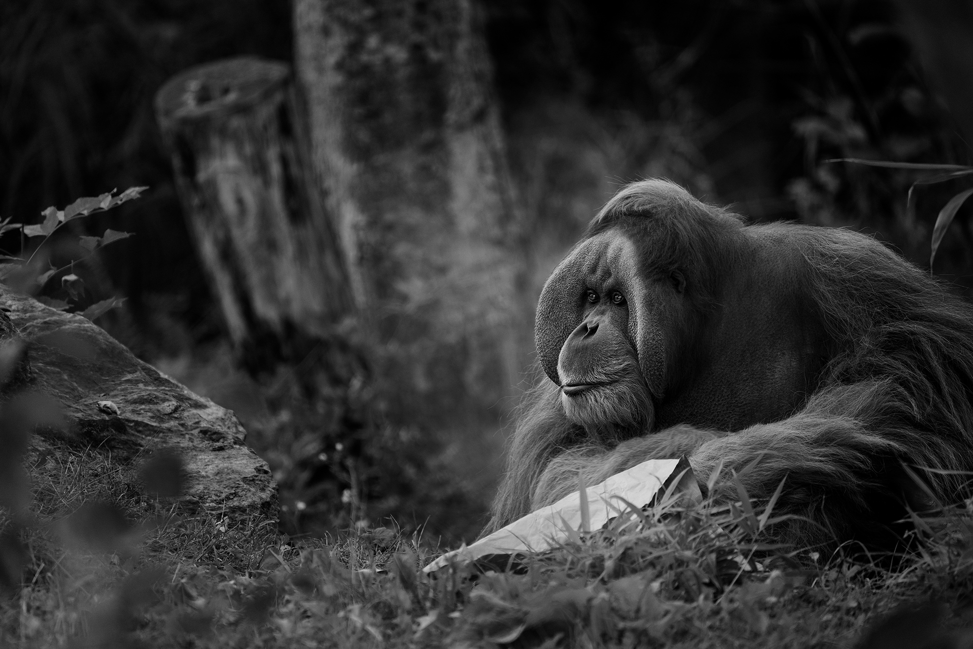 Tierfotografie im Zoo Leipzig